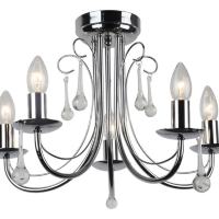 Потолочный светильник Arte Lamp Speranza A8548PL-5CC