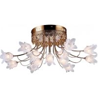 Потолочный светильник Arte Lamp Zarina A8323PL-8-5GO