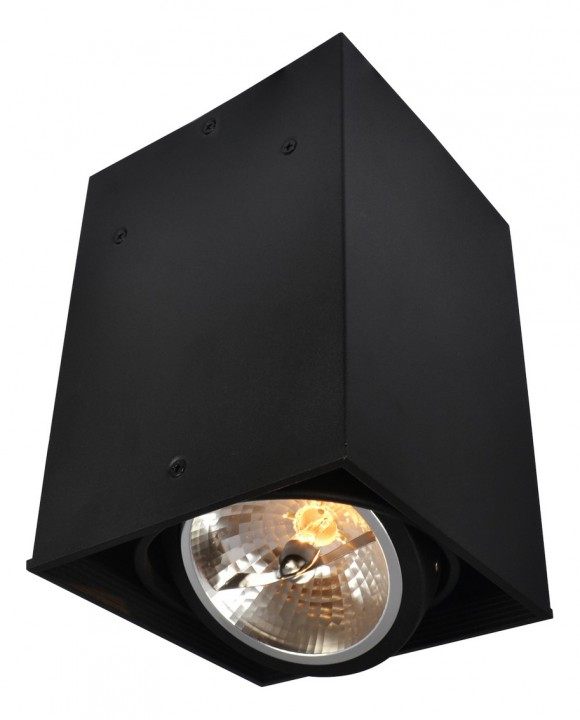 Накладной светильник Arte Lamp Cardani A5936PL-1BK