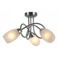 Потолочный светильник Arte Lamp Mutti A8616PL-3SS