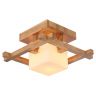 Потолочный светильник Arte Lamp Woods A8252PL-1BR