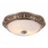 Потолочный светильник Arte Lamp Torta Lux A7137PL-2CR