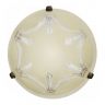 Настенно-потолочный светильник Arte Lamp BEAMS A4330PL-2AB