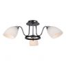 Потолочный светильник Arte Lamp Florentino A7144PL-3BK