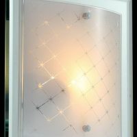 Настенно-потолочный светильник Maytoni Diada CL801-01-N