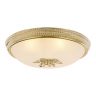 Потолочный светильник Arte Lamp Vassoio A9205PL-5GO