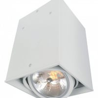Накладной светильник Arte Lamp Cardani A5936PL-1WH