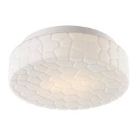 Потолочный светильник Arte Lamp Aqua A5330PL-2WH