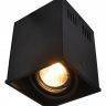 Накладной светильник Arte Lamp Cardani A5942PL-1BK