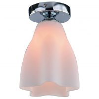 Потолочный светильник Arte Lamp Canzone A3469PL-1CC