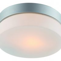 Настенно-потолочный светильник Arte Lamp Aqua A3211PL-1SI
