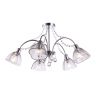 Потолочный светильник Arte Lamp Silenzo A9559PL-5CC