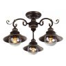 Потолочный светильник Arte Lamp Grazioso A4577PL-3CK