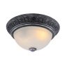 Потолочный светильник Arte Lamp Piatti A8009PL-2SB