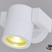 Настенно-потолочный светильник Crystal Lux CLT 020CW WH