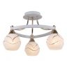 Потолочный светильник Arte Lamp Daniella A6173PL-3WG