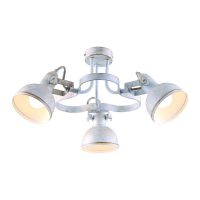 Потолочный светильник Arte Lamp MARTIN A5216PL-3WG