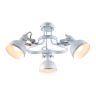 Потолочный светильник Arte Lamp MARTIN A5216PL-3WG