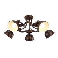 Потолочный светильник Arte Lamp MARTIN A5216PL-5BR