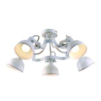 Потолочный светильник Arte Lamp MARTIN A5216PL-5WG