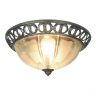 Потолочный светильник Arte Lamp Porch A1306PL-2AB