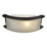 Потолочный светильник Arte Lamp Archimede A6462AP-1CK